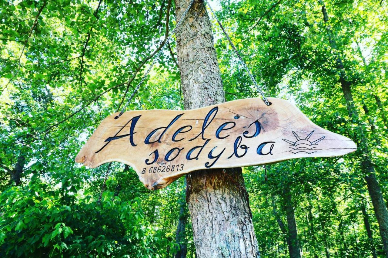 Namelis Nr 2 Adeles Sodyba Muize Eksteriør bilde